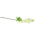 Floristik24 Lilac branch white 84cm