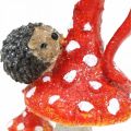 Floristik24 Fly agaric with hedgehog decoration mushroom autumn decoration H14cm 2pcs