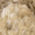 Natural Beige Sheep Wool Loose for Crafting and Decorating 250g | Floristik24.co.uk