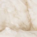 Natural Sheep Wool Loose White Blend 250g for Crafting and Home Décor | Floristik24.co.uk