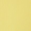Floristik24 Florist crepe paper pastel yellow 50x250cm