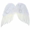 Floristik24 Feather Wings White 55x52cm