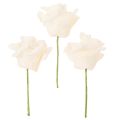 Artificial Cream-Coloured Rose, 10 cm Bloom, Wire Stem, Pack of 100 | Floristik24.co.uk