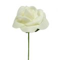 Cream Foam Rose Ø3.5cm with Wire Stem, Set of 48 | Floristik24.co.uk