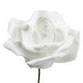 Floristik24 Foam rose white Ø10cm 8pcs