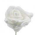 Floristik24 Foam roses white Ø3,5cm 20pcs