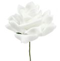 Floristik24 Foam roses white Ø10cm 8pcs