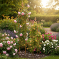 Garden trellis, climbing aid for roses and other climbing plants, ideal garden design, 108cm, set of 2. | Floristik24.co.uk
