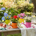 Colorful decorative watering can, Ø11cm, H9.5cm, for planting, spring table decoration, metal, set of 8 | Floristik24.co.uk