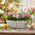 ProductName  
White Oval Wicker Plant Basket with Liner 37cm  

ProductDescription  
<div>  
<h2>White Oval Wicker Plant Basket with Liner</h2>  
<p>This charming white wicker plant basket is an attractive addition to any home or garden. Crafted from natu | Floristik24.co.uk
