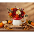 Decorative Ceramic Mushroom Cup - Fly Agaric Design, 10cm | Floristik24.co.uk