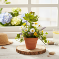 Artificial Succulent Plant Green, 9 cm Height, Decorative for Indoor Use | Floristik24.co.uk