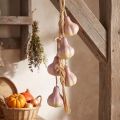 Garlic Decoration for Hanging, Artificial Yellow Purple, L50cm | Floristik24.co.uk