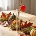 Test tube 200mm × 27mm | Floristik24.co.uk