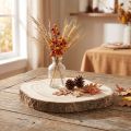 Paulownia tree slice Ø20-25cm natural decorative wooden slice | Floristik24.co.uk