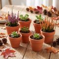 Clay flower pot, Ø5cm, height 4cm, 10 pieces | Floristik24.co.uk