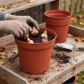 Plant Pot Plastic Ø29cm 10pcs | Floristik24.co.uk