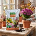 Villa Flora potting soil 10l | Floristik24.co.uk