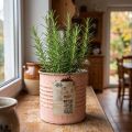 Flower pot decorative can salmon metal herb can Ø8cm H7.5cm | Floristik24.co.uk