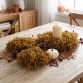Artificial Moss Decoration Brown – Moss Cushion 10/12/14cm 3 pcs | Floristik24.co.uk