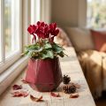 Flower Pot Ceramic Planter Red Hexagonal Ø10cm H9cm | Floristik24.co.uk