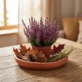 Coaster terracotta clay, ceramic vessel Ø17.5cm | Floristik24.co.uk