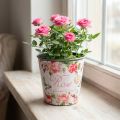 Planter, bucket for planting, planter with rose H13cm Ø13.5cm | Floristik24.co.uk