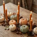 Short wax candles in caramel 21x110mm 6 pcs | Floristik24.co.uk