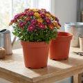 Plant Pot Plastic Ø21cm 10pcs | Floristik24.co.uk