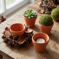 Clay flowerpot Ø7cm high 6cm 10pcs | Floristik24.co.uk