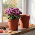 Plant Pot Plastic Ø17cm 10pcs | Floristik24.co.uk