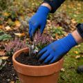 Kixx Gardening Gloves Blue, Black Size 10 | Floristik24.co.uk