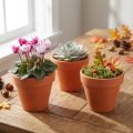 Flowerpot Clay Ø6cm high 5cm 10pcs | Floristik24.co.uk