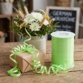 Curling ribbon light green 4.8mm 500m | Floristik24.co.uk