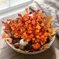Bunch of orange berries, 20cm long | Floristik24.co.uk