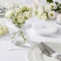 Decorative ribbon decorative lace ribbon wedding W16mm L20m | Floristik24.co.uk