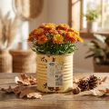 Decorative tin, summer apricot color, metal tin, plant pot, Ø8cm H7.5cm | Floristik24.co.uk