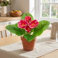 Primroses artificial flowers Cowslips Pink H25cm | Floristik24.co.uk