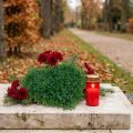 Decorative heart boxwood artificial decorative mat green 30.5cm | Floristik24.co.uk