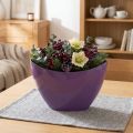 Plant boat decorative bowl purple 20×9cm H12cm | Floristik24.co.uk