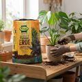 Frux Green Plant &amp; Palm Soil with Slow-Release Fertilizer 10l | Floristik24.co.uk