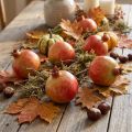 Artificial pomegranate decoration set in a net, deceptively realistic, red-yellow-green, Ø5.5cm, 12 pieces | Floristik24.co.uk