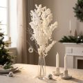 Feathered Asparagus Fern Dried Décor White 55-70cm 100g | Floristik24.co.uk