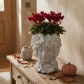 Bust made of cast stone sculpture woman planter antique H21.5cm | Floristik24.co.uk