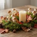 Decorative mushroom on wire 3cm - 5cm 24 pcs | Floristik24.co.uk