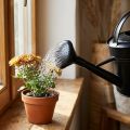 Watering can shower black 5l | Floristik24.co.uk