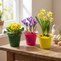 Plastic flower pot Ø10.5cm 25 pcs | Floristik24.co.uk
