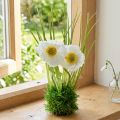 Poppy White in the grass 23cm | Floristik24.co.uk