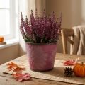 Plant pot with leaf decoration, autumn decoration, metal planter wine red Ø16.5 cm H14.5 cm | Floristik24.co.uk