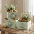 Plant box decorative drawer shabby green 15-23cm set of 3 | Floristik24.co.uk